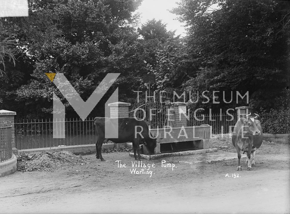 The village pump at Worting (A192)