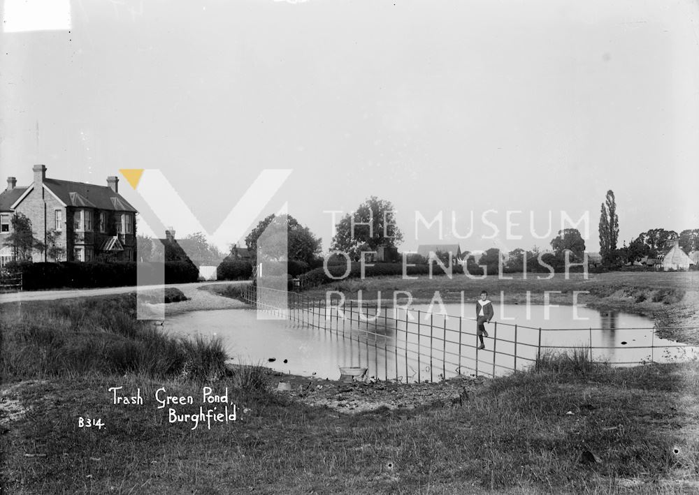 Trash Green Pond, Burghfield