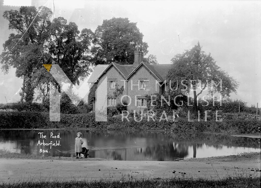 The Pond, Arborfield